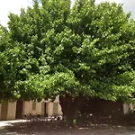 Vittoria Il Graditempo * Rosora