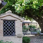 Vittoria Il Graditempo * Rosora