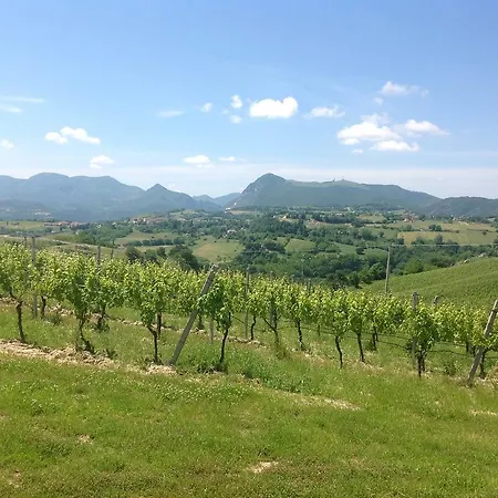 Vittoria Il Graditempo Rosora