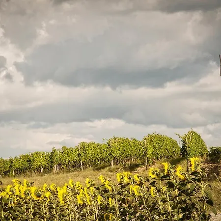 Vittoria Il Graditempo Gospodarstwo wiejskie